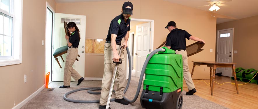 Bloomington, MN cleaning services